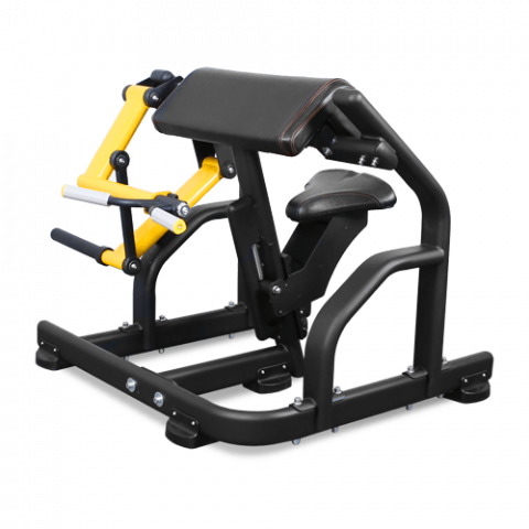 BRONZEGYMPL1713Бицепс